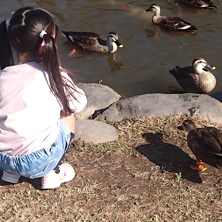 自然とやすらぎのゾーン